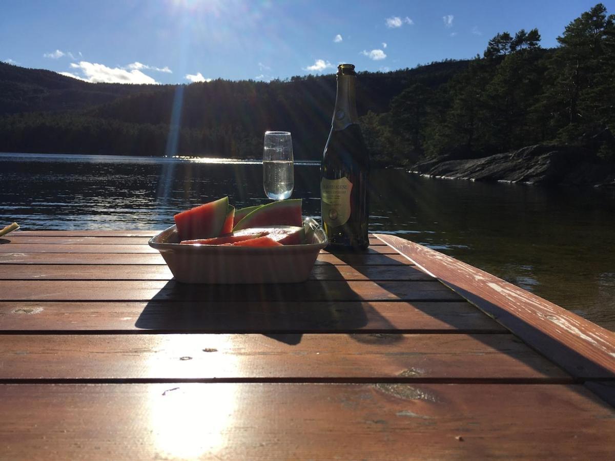 Sinesoyni In Byglandsfjord - Evje 빌라 외부 사진